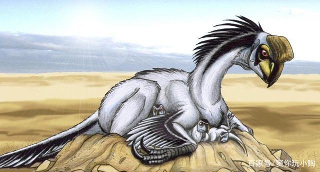 精灵宝可梦——神奥空间之神