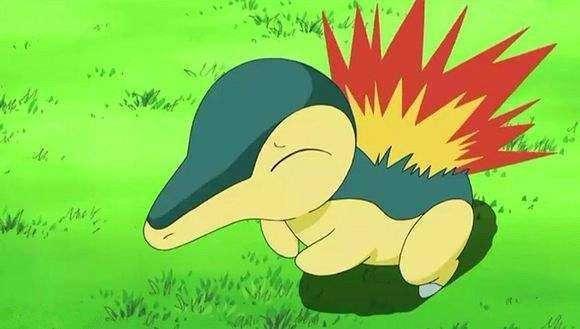 精灵宝可梦——城都御三家