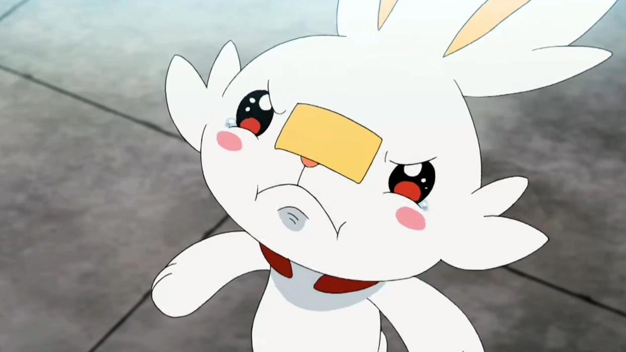 宝可梦旅途:第八代御三家尽归小豪,你为小智鸣不平吗?