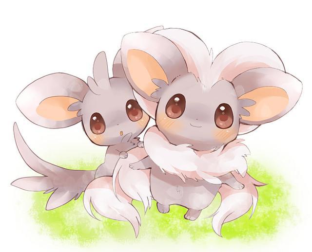 精灵宝可梦:细数10只可爱爆炸的宠物小精灵,快来选一只抱回家!