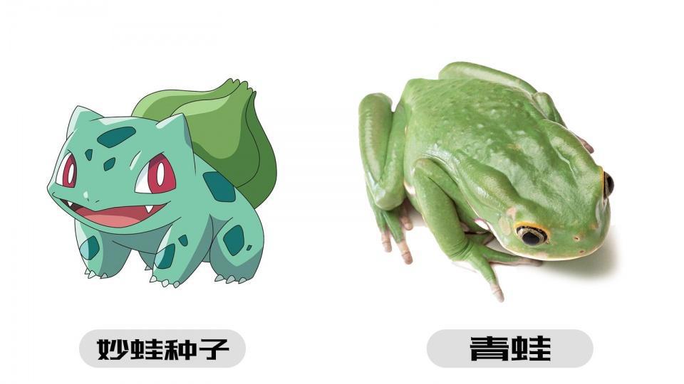 《精灵宝可梦》的宝可梦真实存在,可能就在你身边