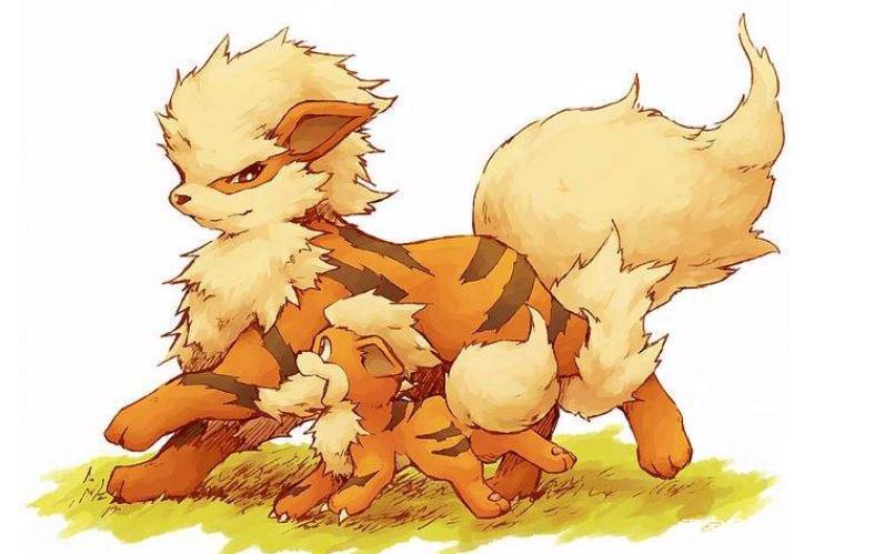 如果来到了精灵宝可梦的世界,你会选择哪6个精灵?