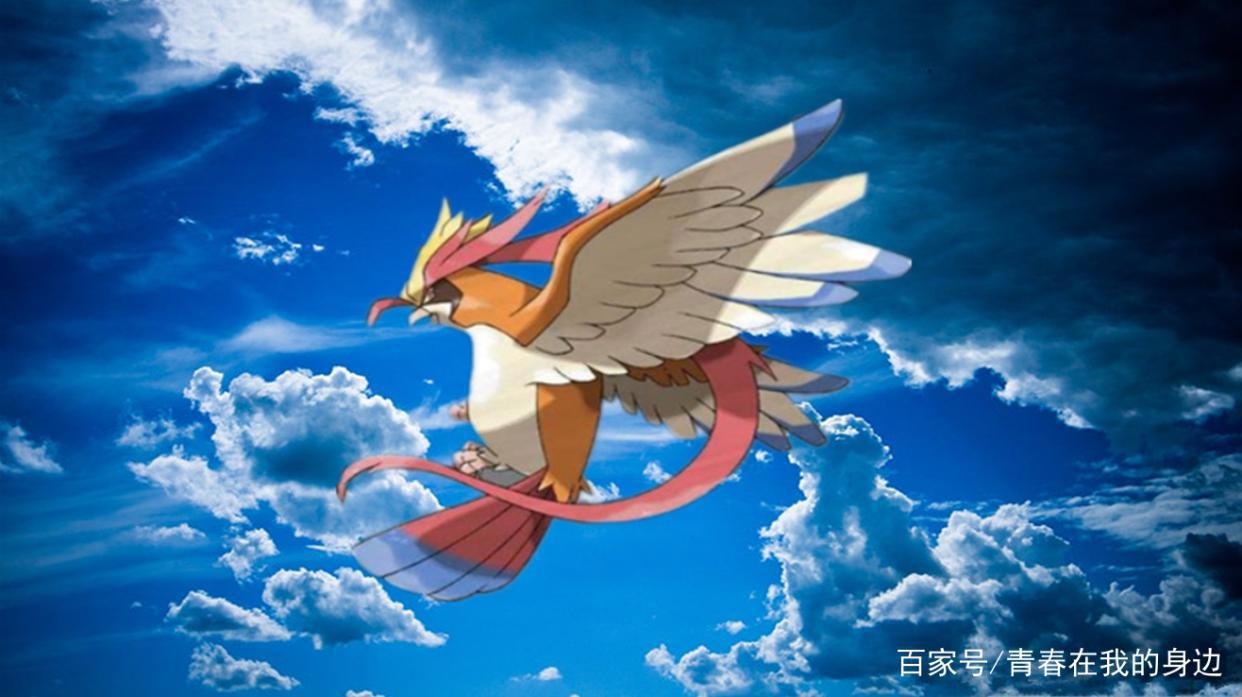 神奇宝贝:小智充当代练,将这些宝可梦练到无敌,却又免费送人