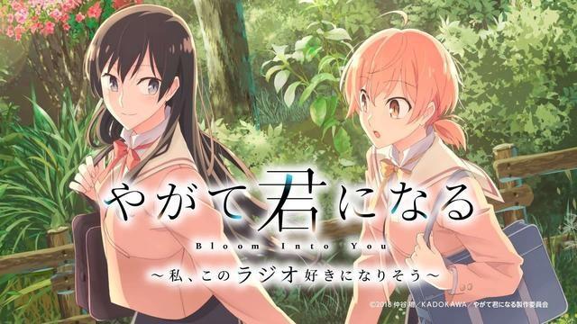 《魔法少女小圆》第五？日本秋叶原投票评选百合向作品TOP10