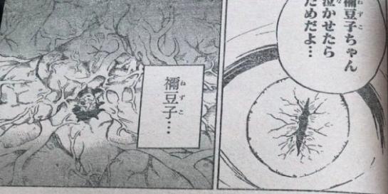 《鬼灭之刃》202话情报:炭治郎咬了祢豆子,随后要杀死香奈乎