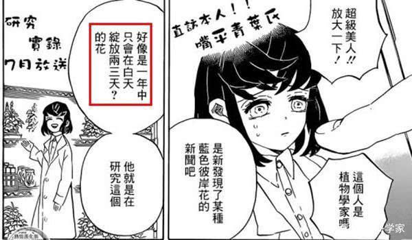 《鬼灭之刃》大结局公布，祢豆子和炭治郎的后代居然在一起了？