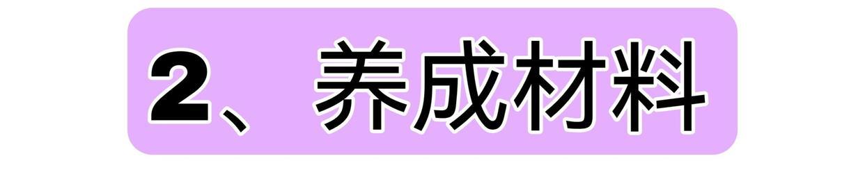 原神：八重神子伤害、强度、阵容、武器、圣遗物等详细讲解