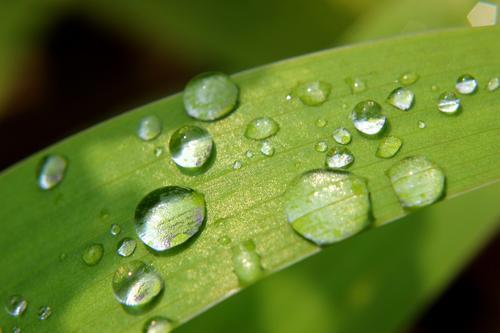 原神：解读官方甘雨简介——进来涨知识