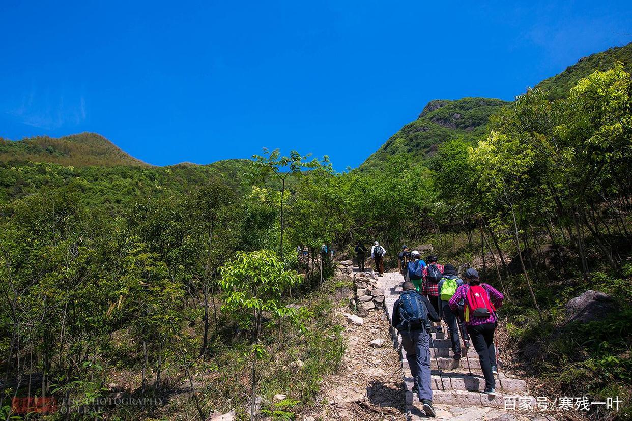 因一片花海刷爆朋友圈，浙江一个不靠旅游吃饭的小镇，成度假天堂