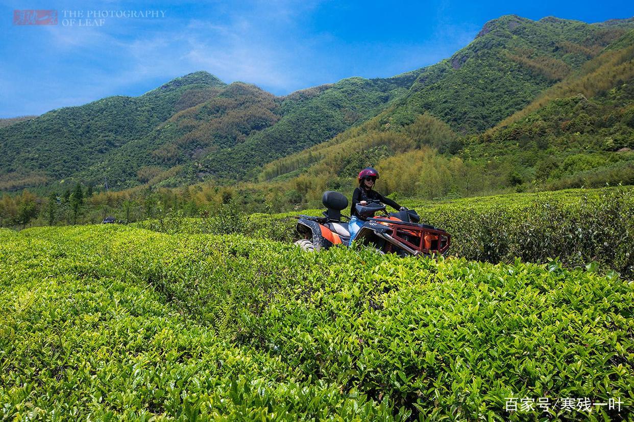 因一片花海刷爆朋友圈，浙江一个不靠旅游吃饭的小镇，成度假天堂