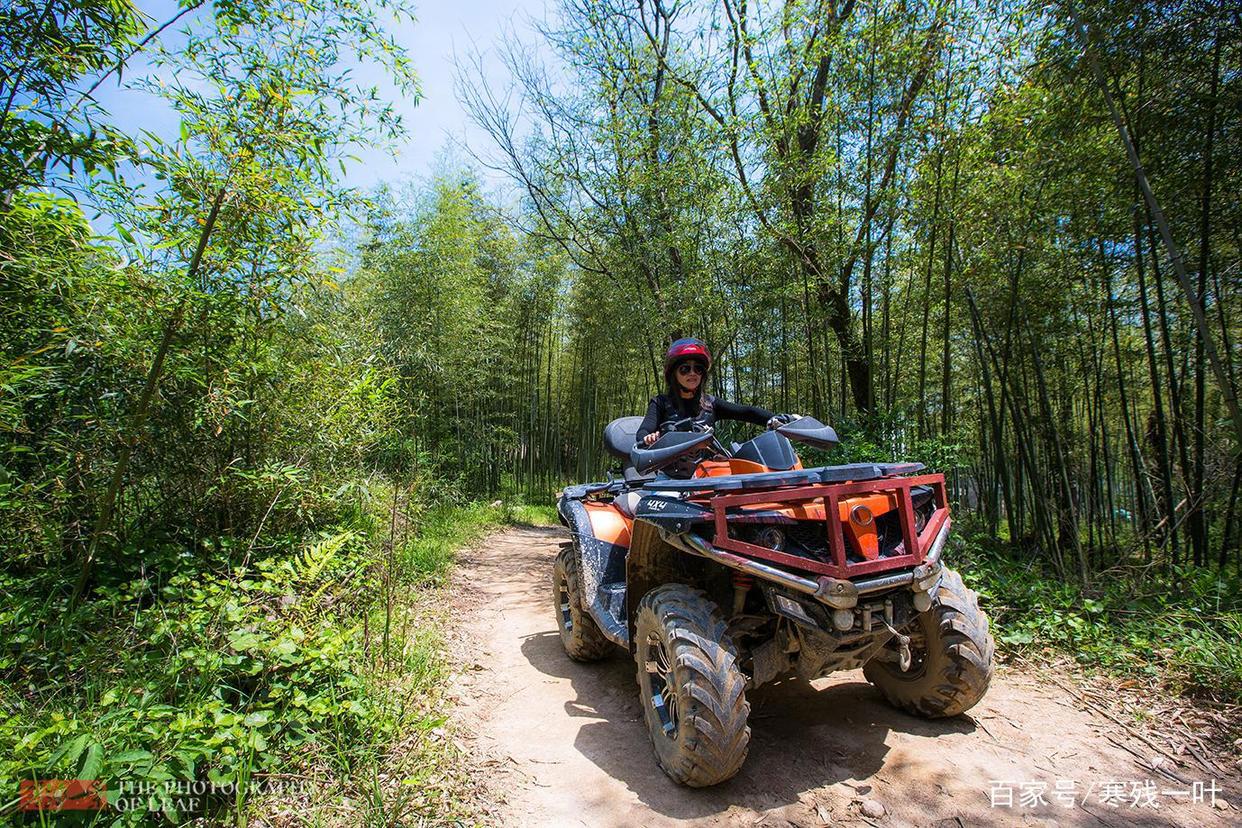 因一片花海刷爆朋友圈，浙江一个不靠旅游吃饭的小镇，成度假天堂