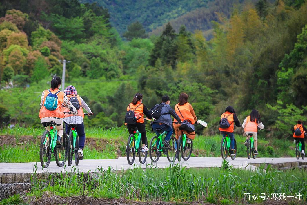 因一片花海刷爆朋友圈，浙江一个不靠旅游吃饭的小镇，成度假天堂