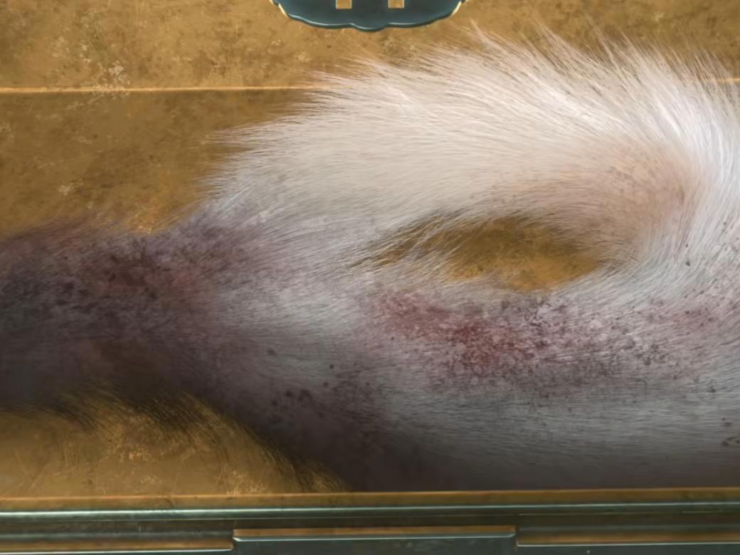 《青蛇劫起》狐妖的真实身份是什么?盒子里的尾巴为何是白色?