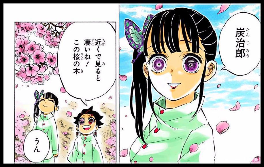 鬼灭之刃205话:最终话的情报提前公布,小伙伴们都轮回转世了